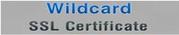 Buy Wildcard SSL Certificate at Discount Price from Thesslstore