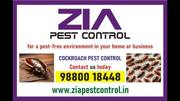 Zia Pest Control | Quick Pest Removal — Affordable Prices! | Call Us T